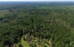 21.79 Acre Homer Ladner Road, Poplarville, MS 39470