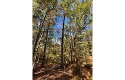 501 HWY 82, EUFAULA, AL 36027