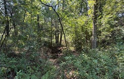 41 +/- acres Inlet Road, Versailles, MO 65084