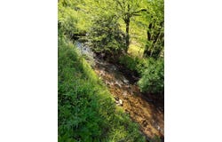 Smith Hill Rd, Franklin, NC 28734
