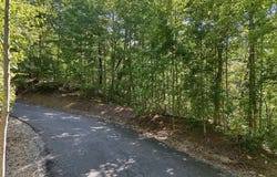 Nathan Mcdaniel Drive, Nebo, NC 28761