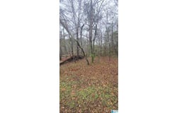 511 LAKEVIEW CIRCLE lot: 0, HARPERSVILLE, AL 35078