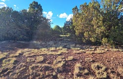 1473 E Barbara Road, Williams, AZ 86046