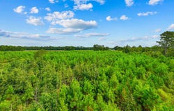 Carter Rd., Loris, SC 29569