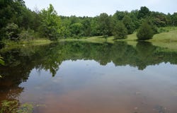 County Road 522, Winona, MO 65588