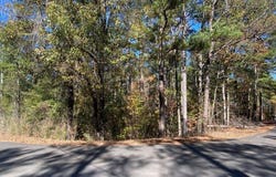 Million Dollar Lakes, Vance, AL 35490