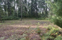 Beaver Road, Bitely, MI 49309