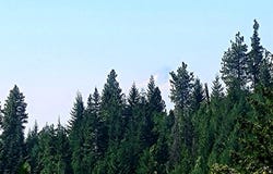Simcoe Mtn Rsrv, Goldendale, WA 98620