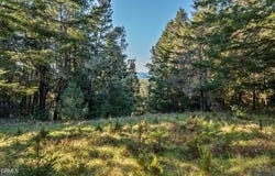 4150 California 1, Albion, CA 95410