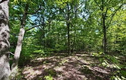 Pratt Road, Cadet, MO 63630