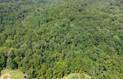 S Fork Road, Stanton, KY 40380