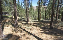 50 Pinon Road, Markleeville, CA 96120