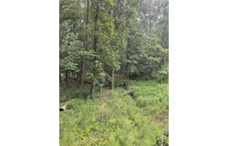 Pineywood Drive, Ringgold, GA 30736