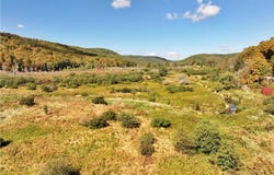 Halsey Valley Rd, Spencer, NY 14883