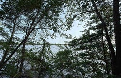 202961 DUBAY DRIVE, KNOWLTON, WI 54455