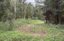 Bourke Road, Natchez, MS 39120