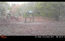 428665 E 1920 Rd., Antlers, OK 74523