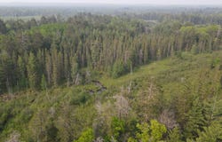 Parcel B Cherry Creek Trail, Grayling, MI 49738