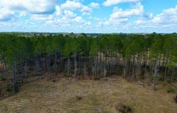 35 Thompson Lane, Carriere, MS 39426