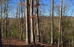 River Mountain Road lot: 94, Murphy, NC 28906