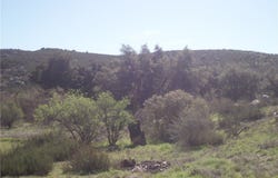 Willow Canyon Road, Hemet, CA 92544