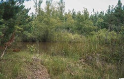 GARNER ROAD, Weston, LA 71251