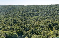 Great Hollow Road, Cornwall, CT 06753