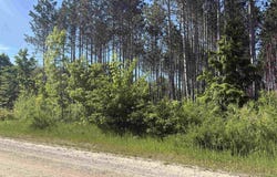 Parcel E Saint Johns Road, Interlochen, MI 49643