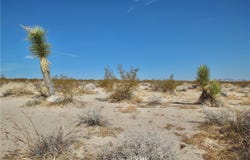 Moonlight Mesa Avenue, Joshua Tree, CA 92252