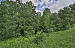 Percheron Drive, Breezy Point, MN 56472