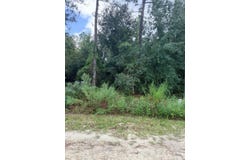 NO SITUS, Dunnellon, FL 34432