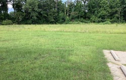 1253 S Forest Ave, LUVERNE, AL 36049