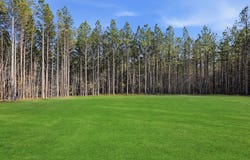 2214 Walnut Tree Blvd, Powhatan, VA 23139