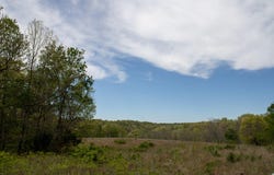 370 Hayes Spring Drive, Crane, MO 65633