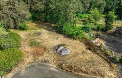 Elk Meadows Ln, Tillamook, OR 97141