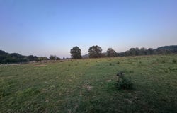1 Stephanus Rd, Sanders, KY 41083