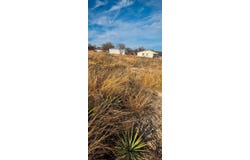 106 Sparrow, Azle, TX 76020