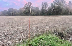 County Road 237, Bloomfield, MO 63825