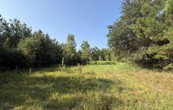 156.3 Acres Beesley Road, Lucedale, MS 39452