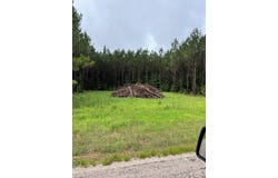 parcel 1 county road 6629, BANKS, AL 36005