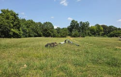 100 Thomas Road, Fort Oglethorpe, GA 30742