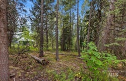 813 Reedy Ln, McCall, ID 83638