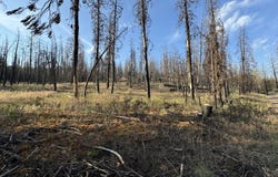 Seal Lane, Bonanza, OR 97623
