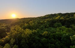 County Rd 855, Thornfield, MO 65762