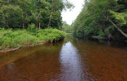 Bellingertown Rd, Forestport, NY 13338