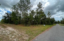NE 152nd Ct, Williston, FL 32696