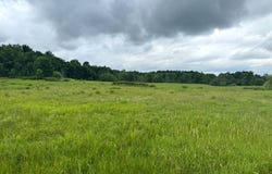 1.3 County Route 24, Antwerp, NY 13608