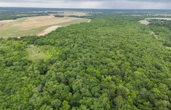 Tract 9 County Road 2158, Cooper, TX 75432