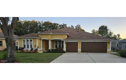 3773 Fiano Drive, Port Orange, FL 32129