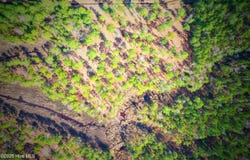 203 Paradox Point Drive, Aurora, NC 27806